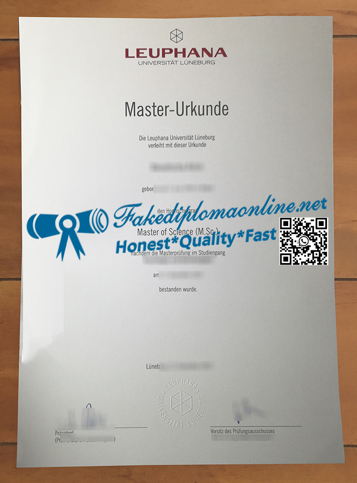 Leuphana Universität Lüneburg diploma