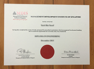 Management Development Institute of Singapore degree