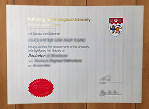 Nanyang Technological University degree