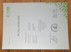 TH Mittelhessen degree