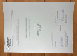 Technische Universität Dresden degree