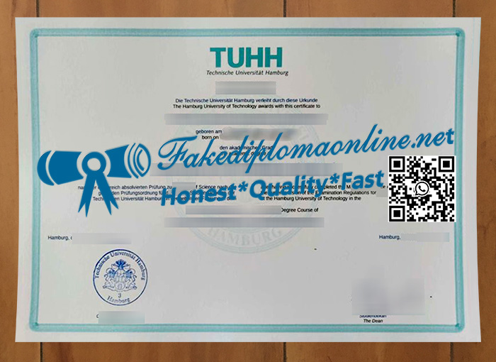 Technische Universität Hamburg degree