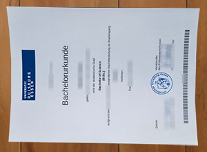 Universität Duisburg-Essen diploma