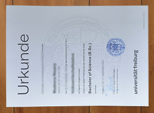 Universität Freiburg degree