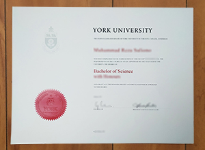 I want to order a York University diploma in Canada
