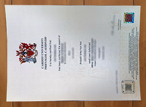 Cardiff University degree