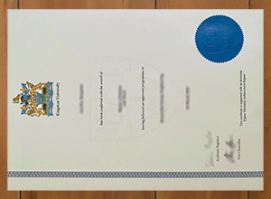 Kingston University degree