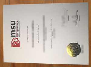 Management and Science University diploma