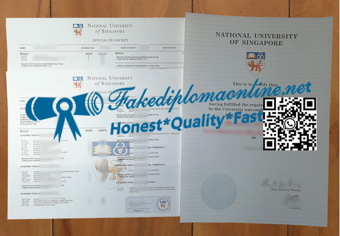 NUS-degree-and-transcript