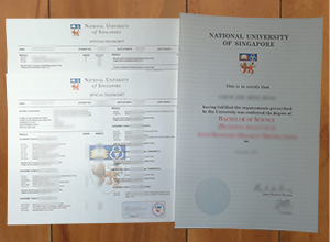 NUS diploma and transcript