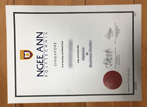 Ngee Ann Polytechnic degree
