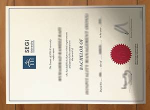 SEGi University degree