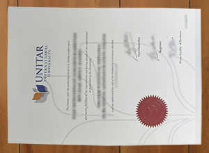 UNITAR International University degree