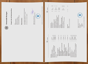 Universität Stuttgart transcript