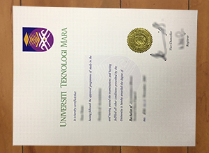 Universiti Teknologi MARA degree