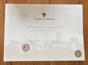 University of Durham degree