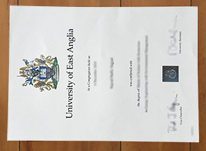 University of East Anglia diploma