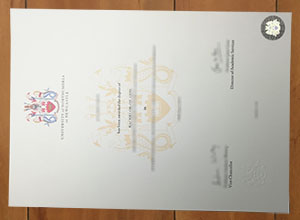 Northumbria University degree