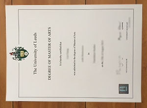 I want to get a University of Leeds Master degree online