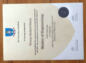 Savvy ways to earn a University of Sheffield degree online