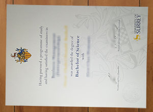 Best method to get a University of Surrey degree online