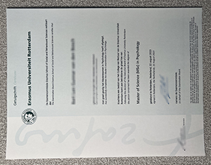 Erasmus University Rotterdam MSC Certificate: Legacy & Custom Solutions