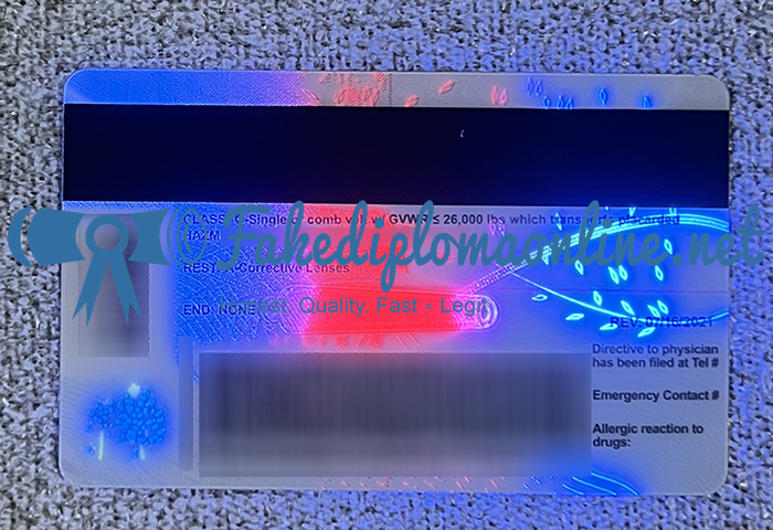 Texas driver License card3