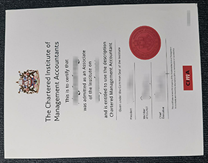CIMA Certificate:Personalized customization