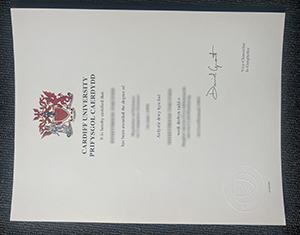 Cardiff University diploma 1:1 high-resolution replica