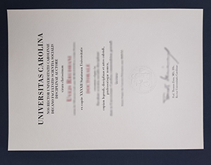 Fast Track Your Charles University Diploma Recovery | 100% Secure