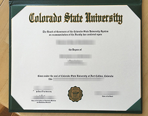 Need a CSU Degree Fast? Emergency Replacement & Verification Tips