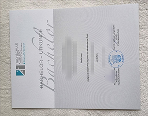 Professional Hochschule Koblenz diploma Reissue for Urgent Situations
