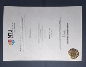 Munster Technological University degree: High Fidelity for Career Use