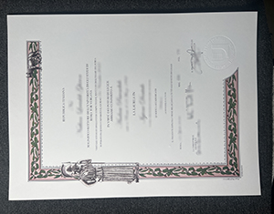 Università degli Studi di Roma Tor Vergata Degree: Guide to 2026 Success