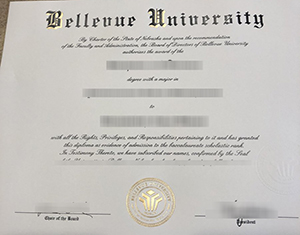 Bellevue University Diploma – A Smart Path to Career Growth