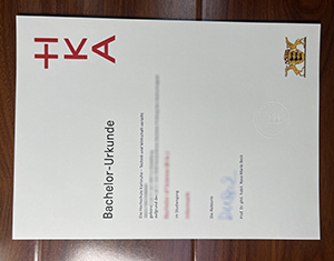 Easy Hochschule Karlsruhe Diploma Replacement Services