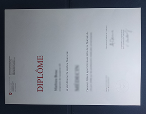 Urgent: Replace Your Lost Swiss Federal Diploma Certificate in 3 Steps