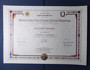 Università degli Studi di Cassino e del Lazio Meridionale Diploma – Your Complete Guide