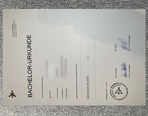 Fast Replacement: Hochschule RheinMain Degree Document