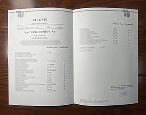 Need a rapid duplicate of your Technische Universität Berlin transcript?