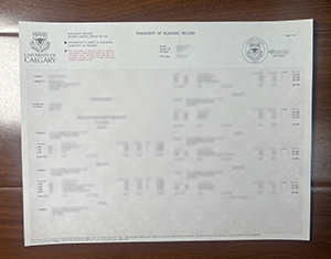 Your official University of Calgary transcript is secure and accurate