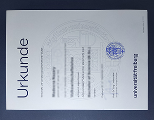 University of Fribourg Diploma: Swiss Excellence in Bilingual Education